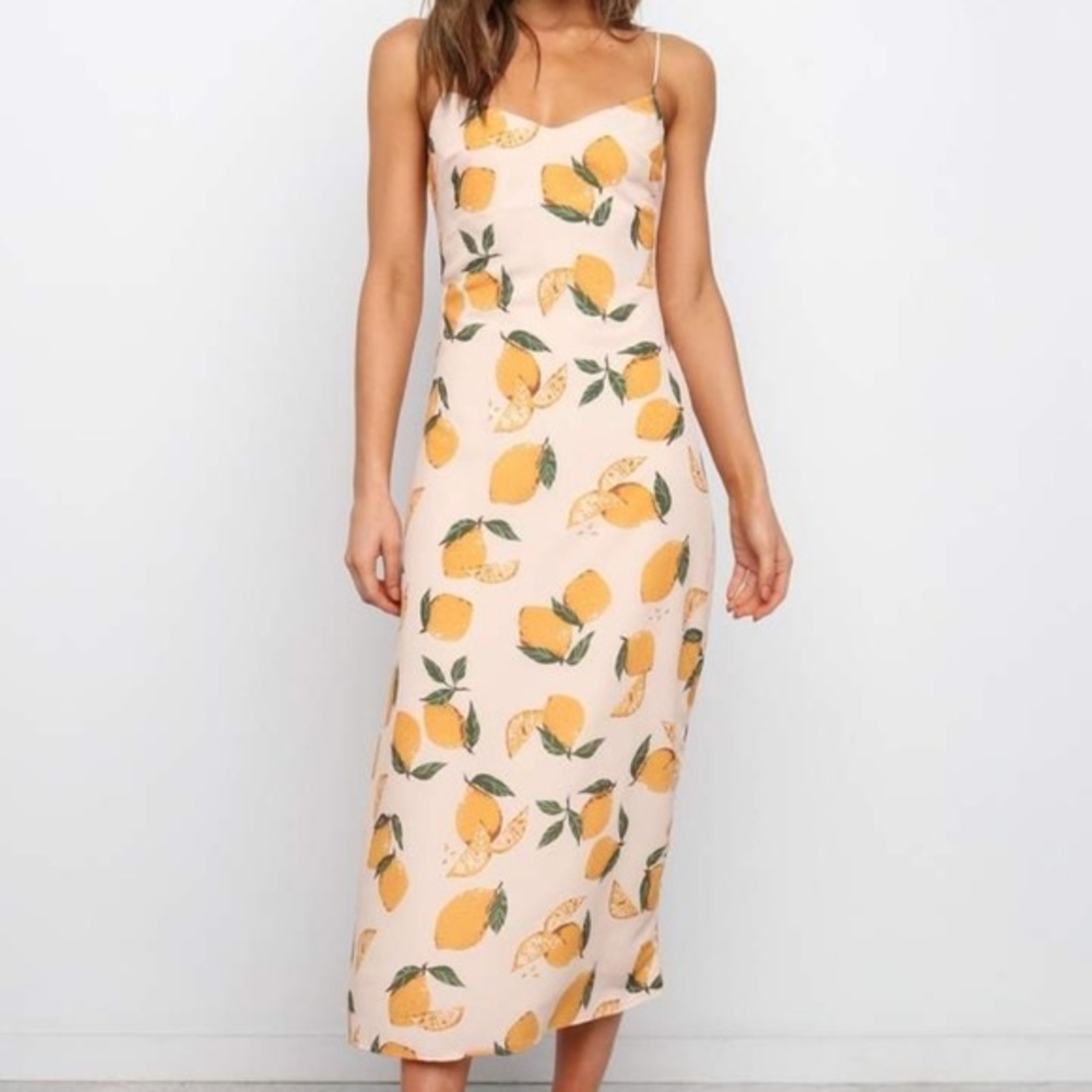 Adorable petal & pup lemon dress